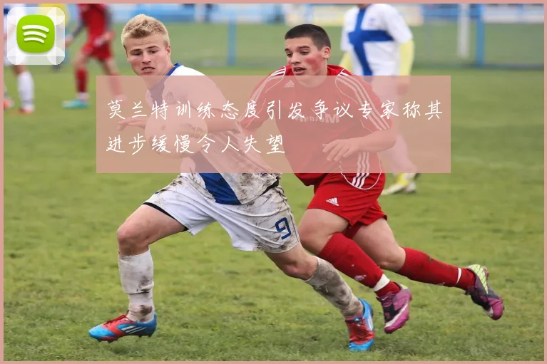 莫兰特训练态度引发争议专家称其进步缓慢令人失望